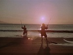 Samurai III: Duel at Ganryu Island (1956) | The Criterion Collection