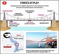 Suspension bridges: how they work