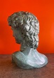 Patinated Verdigris Bronze Bust of Michelangelo's David by Felix de ...