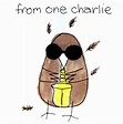 CHARLIE WATTS From One Charlie reviews