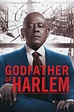 Reparto de El padrino de Harlem (serie 2019). Creada por Chris Brancato ...