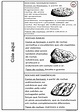 SOS PROFESSOR-ATIVIDADES: Tipos de rochas