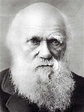 Biografia de Charles Darwin y sus aportes | Webscolar