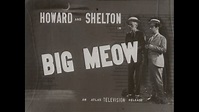 The Big Meow (1934) - YouTube