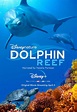 Dolphin Reef (2020) - Super Brloh