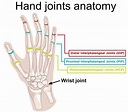 Hand dislocation causes, symptoms, diagnosis, treatment & prognosis