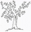 Mango Tree Coloring Page at GetColorings.com | Free printable colorings ...