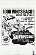 Superbug the Wild One (aka The Love Bug Rally) 1975 Original Movie ...