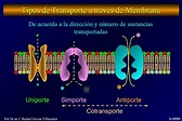 TRANSPORTE DE MEMBRANA - Mind Map