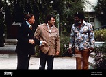 BLACK BELT JONES, Vincent Barbi (left), 1974 Stock Photo - Alamy