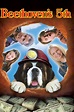 Ver Beethoven 5: El perro buscatesoros (2003) Online Latino HD - Pelisplus