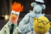 Every Muppet That Matters, Ranked | The muppet show, Muppets, Beaker ...