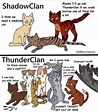 Diseases & Conditions | Wiki | Warrior Cats: After The Storm Amino