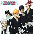Bleach Characters - Bleach Anime Photo (36548015) - Fanpop