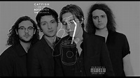 Catfish And The Bottlemen - Fluctuate - YouTube