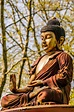 Buddha - Siddhartha Gautama Photograph by Colin Utz