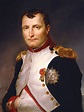 Napoleon Bonaparte wearing both the breast badge and star of the French ...