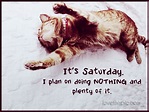 It's Saturday funny quote humor saturday do nothing Saturday Pictures ...