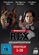 Kommissar Rex - Staffel 1-10 / Gesamtedition - DVD - online kaufen | Ex ...