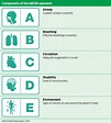 Using the ABCDE approach for all critically unwell patients | British ...