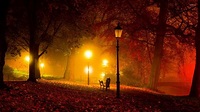 Autumn Light Wallpapers - Wallpaper Cave