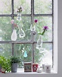 Kreative Fensterdeko: hängende Vasen | Anthropologie home, Hanging ...
