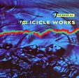 The Icicle Works – The Best Of The Icicle Works (CD) - Discogs