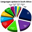 The languages we speak at home | Languages of south africa, South ...
