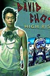 David Choe: High Risk (2015) — The Movie Database (TMDB)