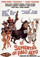 Best Buy: El Semental de Palo Alto [DVD]