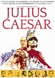 Best Buy: Julius Caesar [DVD] [1970]