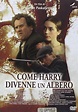 Come Harry Divenne Un Albero: Amazon.co.uk: Colm Meaney, Adrian Dunbar ...