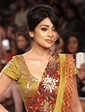 Hotness Personified: 10 sizzling pictures of Shriya Saran - Bollywood ...