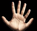 What If Our Hands Had 6 Fingers? | Live Science