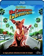 Un chihuahua en Beverly Hills (Carátula Blu-Ray) - index-dvd.com ...