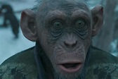 War for the Planet of the Apes final trailer teases the end of mankind ...