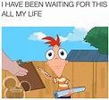 Haha he's looking forward | Phineas and ferb memes, Phineas and ferb ...