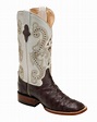 Ferrini Women's Print Anteater S-Toe Boot - Chocolate/Pearl | Cowboy ...