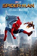 Watch Spider-Man: Homecoming (2017) Online for Free | The Roku Channel ...
