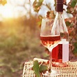 Your Guide to Rosé Wines - From The Vine