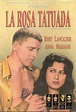 Animeantof: Dvd La Rosa Tatuada- The Rose Tatoo- 1955 - $ 1.500 en ...
