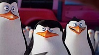 Pingüinos de madagascar, Cabo el más importante mienbro - YouTube