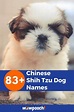 83+ Charming Chinese Shih Tzu Dog Names - WowPooch