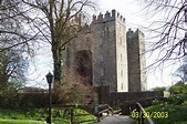 Bunratty Castle, the Earl of Thomond had it built in the 15th century ...