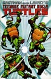 Teenage Mutant Ninja Turtles V1 025 | Read Teenage Mutant Ninja Turtles ...