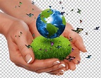 Mundo tierra sostenibilidad ambiente natural verde tierra, globo, mano ...