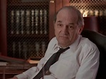 Steven Hill, Who Played D.A. Adam Schiff on ‘Law & Order,’ Dies At 94 ...