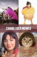Charli XCX Memes » AlexInQuotes | Music memes, Charli xcx, Lady gaga memes