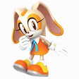 Sonic - Cream the Rabbit PNG Imagens e Moldes.com.br