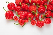 Trinidad Moruga Scorpion Peppers: 15 Things to Know – The Spicy Trio